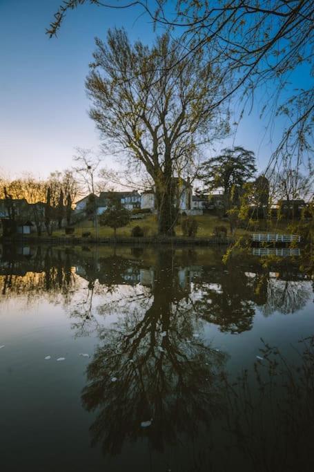 Le Chalet Du Bout Du Monde, En Bord De Riviere ! Grez-sur-Loing Eksteriør billede